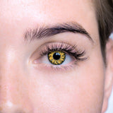 Loox Sunburst Hazel Brown Cosmetic Contact Lenses, FDA & Health Canada Cleared