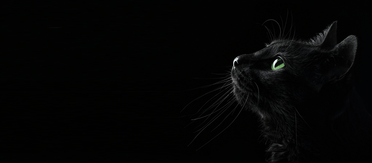 black-cat-theme-moon-fun-makeup